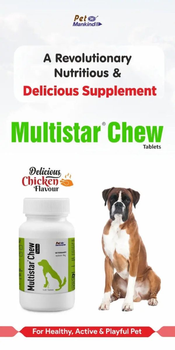 Multistar chew tablet (30tablets) for dogs and cats Online now