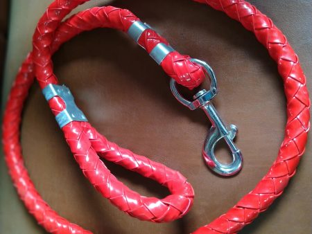 Jacky Treats Rope For Large Dog Red on Sale