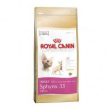 Royal Canin Sphynx Adulto Online Sale