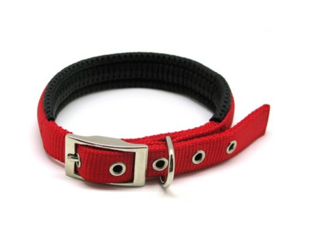 Rosewood Classic Soft Protection Dog Collar Cheap