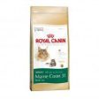 Royal Canin Maine Coon Adulto For Sale