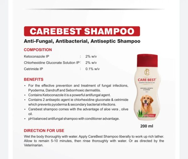 Sky Ec Carebest shampoo antifungal  shampoo for dogs and cats 200 ml Online Sale