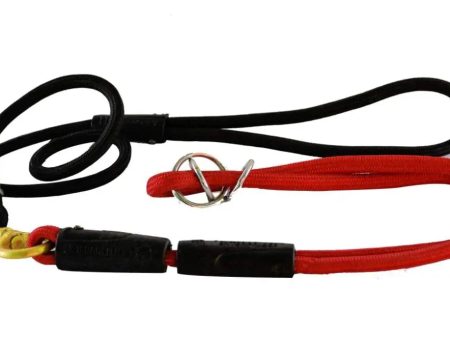 Show leash for dogs Online Hot Sale