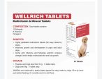 Skyec wellrich multivitamin 30 tablet For Cheap