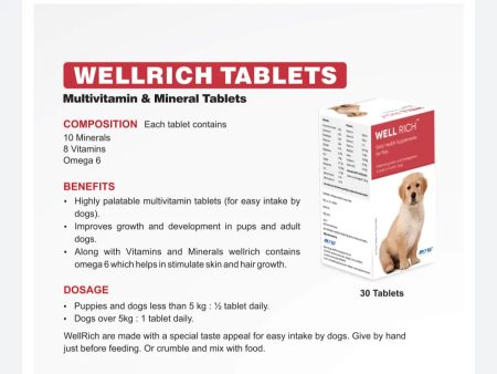 Skyec wellrich multivitamin 30 tablet For Cheap