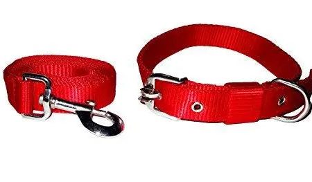 adidog Nylon Adjustable Collar & Leash Medium - 1 Inch. Colour may vary on Sale