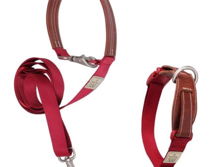 BUNDLE DEAL: Sputnik Nylon Dog Collar + Multifunctional Leash Set (Red) For Discount