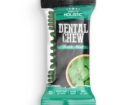 12 FOR $12: Absolute Holistic Mint Grain-Free Dental Dog Chew Treat 25g Online Sale